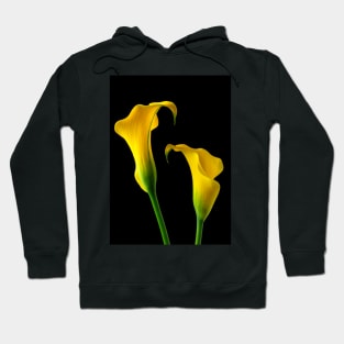 Two Stunning Yellow Calla Lillies Hoodie